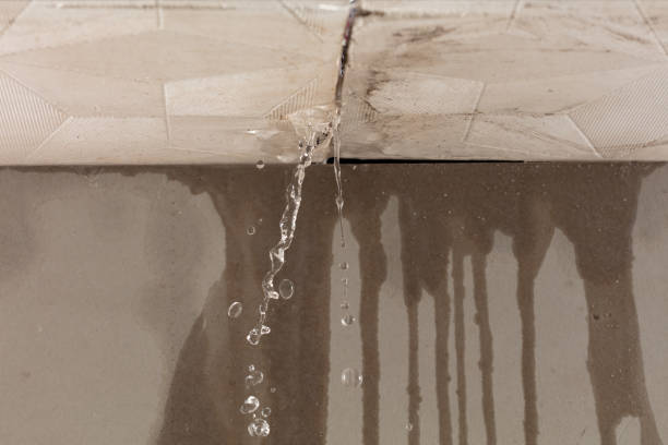 Professional Sewage Cleanup technician working in Essex Fells, NJ